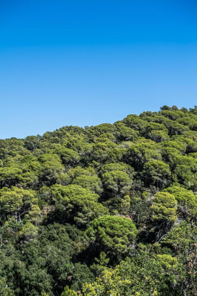 Camping Sunissim Cala Llevado 4* by Locatour Hotel Tossa de Mar Esterno foto