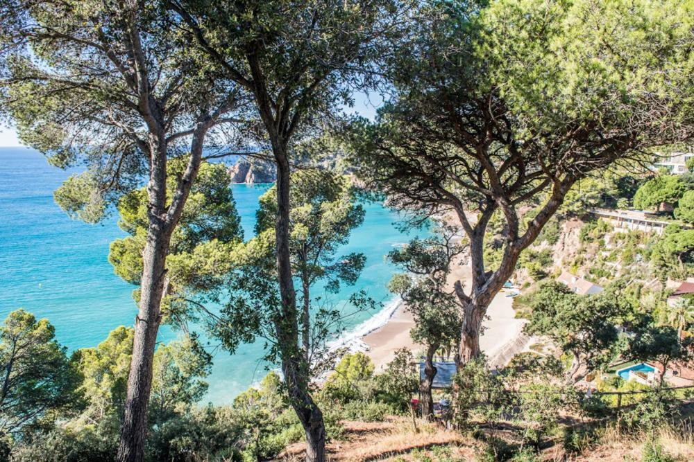 Camping Sunissim Cala Llevado 4* by Locatour Hotel Tossa de Mar Esterno foto